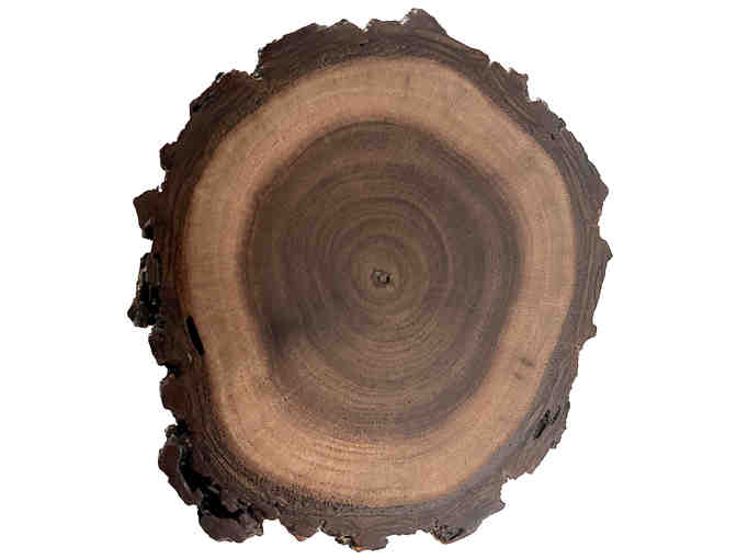 Black Walnut Coasters - Set of Four (3 of 3)