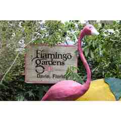 Flamingo Gardens