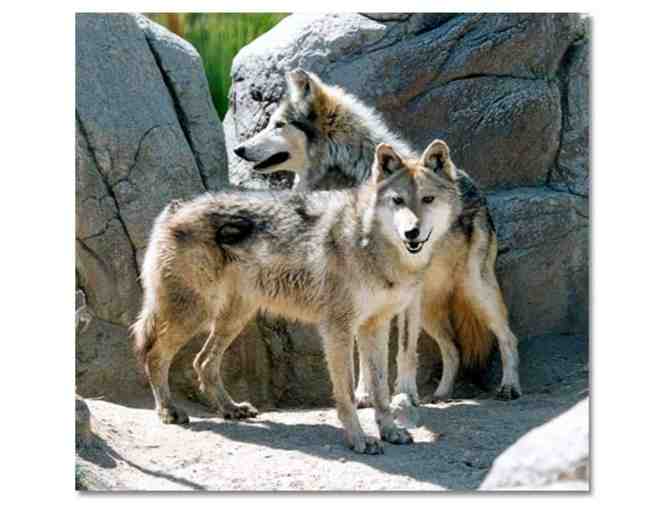 2 NIGHTS MIRACLE SPRINGS RESORT DESERT HOT SPRINGS, CA + CHILDREN'S DISCOVERY MUSEUM + LIVING DESERT