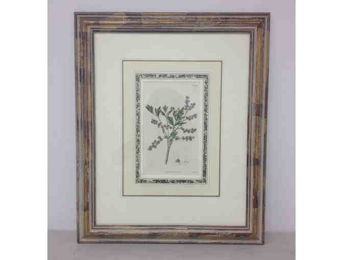 3 FRAMED PASTELS - PAPILLONES III - BUTTERFLY, BROAD LEAF, PARSLEY