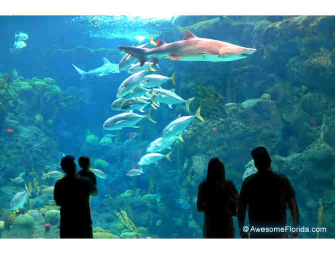 2 General Admission Ticket Vouchers to The Florida Aquarium
