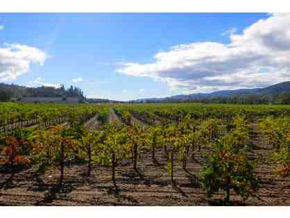 California Duet and Wine Tour, San Francisco and Sonoma
