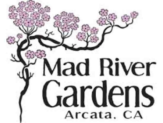 Mad River Garden 'For The Birds' Gift Basket