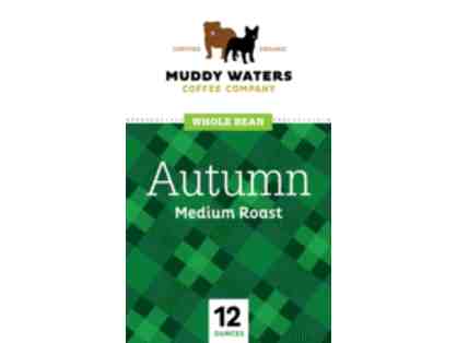 Muddy Waters Coffee, 3 Different Medium Roast Whole Bean 12-oz. Bags