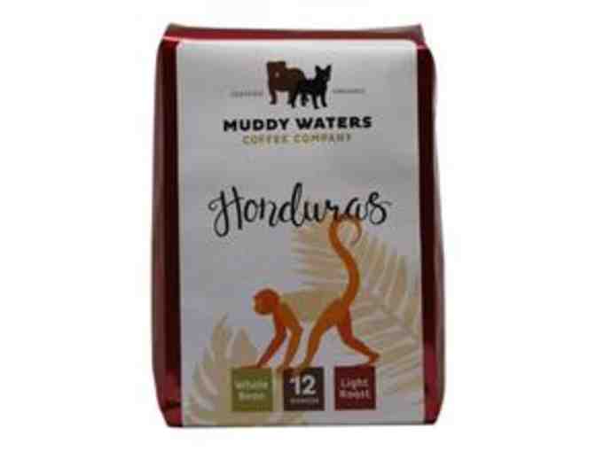Muddy Waters Coffee, Two Different Light Roast  Whole Bean 12-oz. Bags