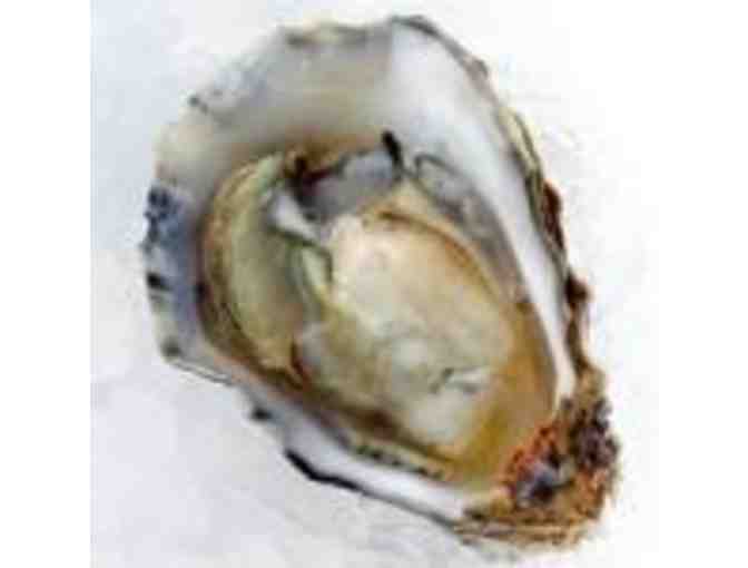 Coast Seafoods - Five Dozen Kumamoto Oysters - Gift Certificate
