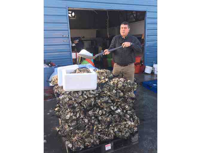 Coast Seafoods - Five Dozen Kumamoto Oysters - Gift Certificate