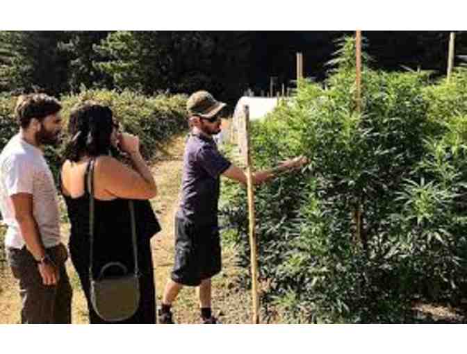 AN UNIQUE ADVENTURE - Half Day Humboldt Cannabis Tours for 2 Gift Certificate