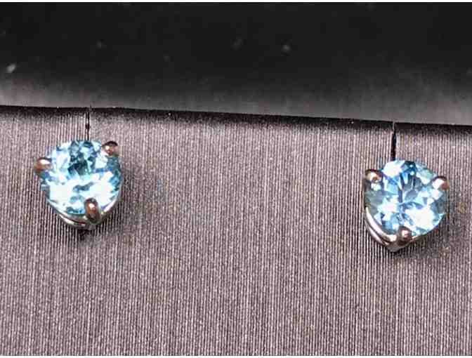 Ageless Whiplash Curve Montana Sapphire earrings set in white gold