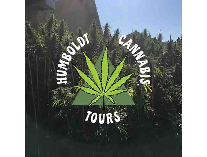 AN UNIQUE ADVENTURE - Half Day Humboldt Cannabis Tours for 2 Gift Certificate - Photo 1