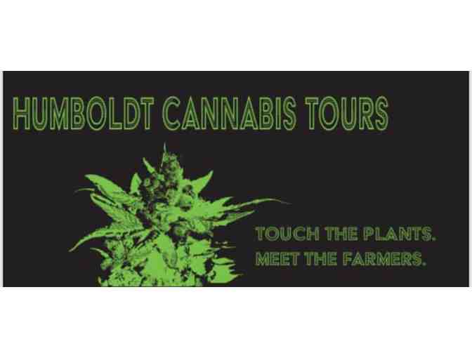 AN UNIQUE ADVENTURE - Half Day Humboldt Cannabis Tours for 2 Gift Certificate - Photo 3