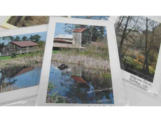 Humboldt Barns-Birds-Bay Note Cards (Set of 12)
