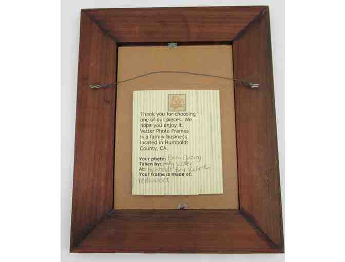 Redwood Framed Photo 'Barn Gazing at Humboldt Bay Refuge'