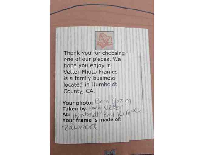 Redwood Framed Photo 'Barn Gazing at Humboldt Bay Refuge'
