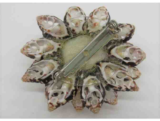 Shell Brooch