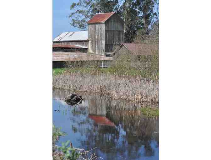 Redwood Framed Photo 'Barn Gazing at Humboldt Bay Refuge'