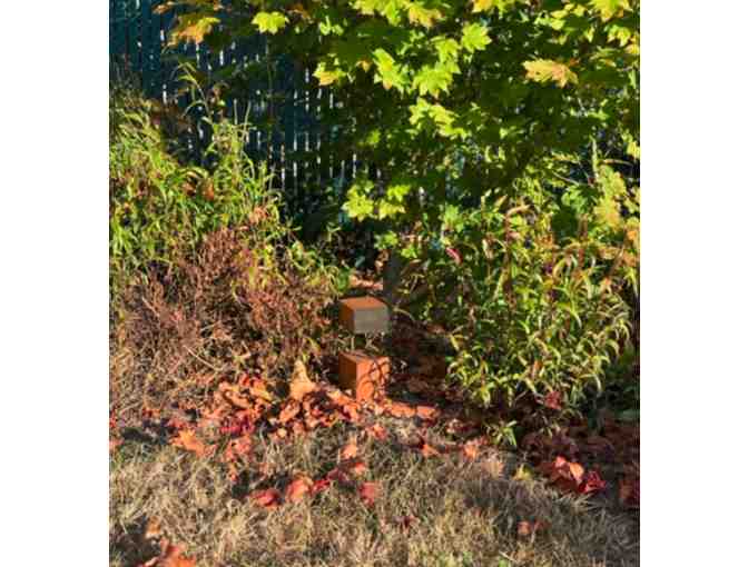 'Gravity' Redwood Garden Sculpture