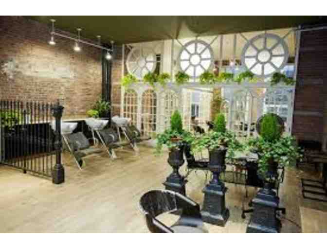 Hale Organic Salon - A single process color root touch up and a color blowout.