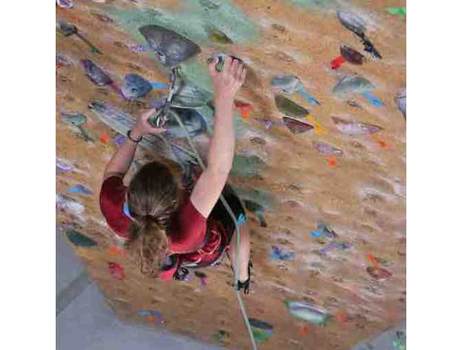Petra Cliffs Indoor Climbing Center and Mountaineering