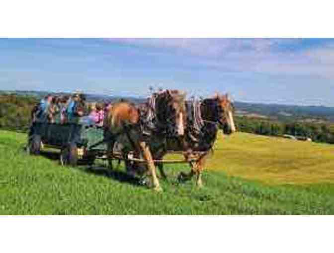 Kingdom's Horse Drawn Wagon and Sleigh Rides - Photo 3