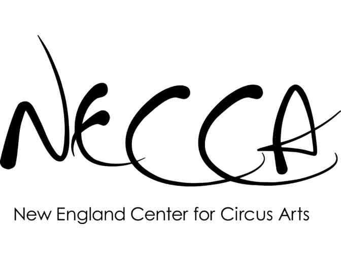 New England Center for Circus Arts