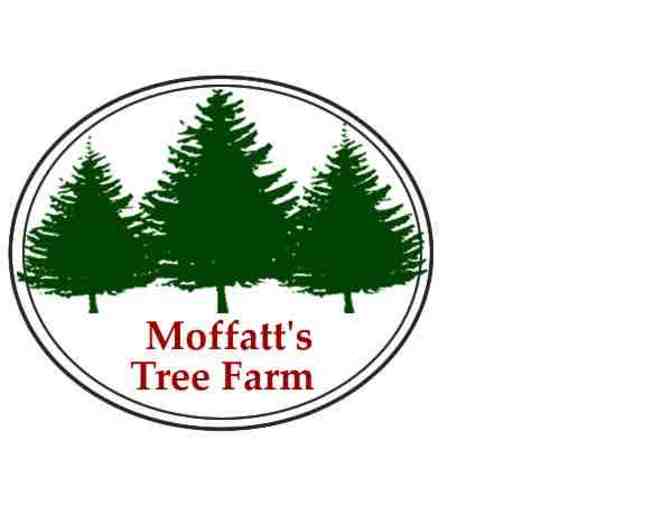 Moffatt's Tree Farm