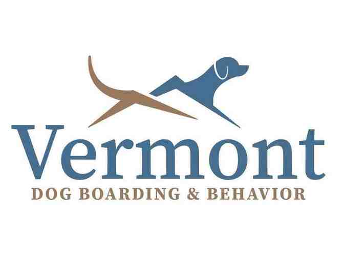 Vermont Dog Boarding and Behavior