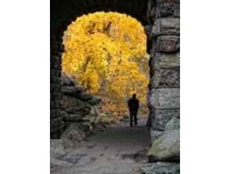 'Glen Span Arch, Central Park' by Marc 'Wheelchair Kamikaze' Stecker
