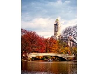 'Bow Bridge, Central Park' by Marc 'Wheelchair Kamikaze' Stecker