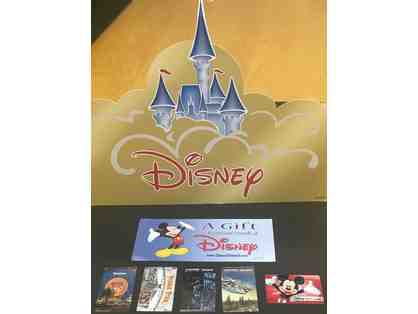 Disneyland Resort Castle Package