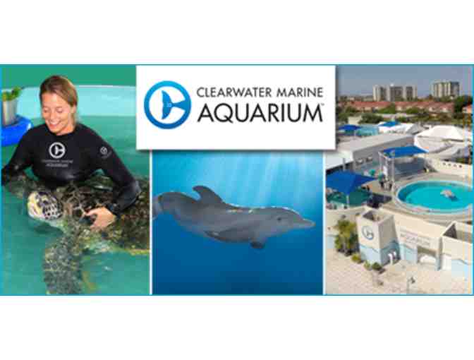 4 Admission Passes to the Clearwater Aquarium - Photo 1