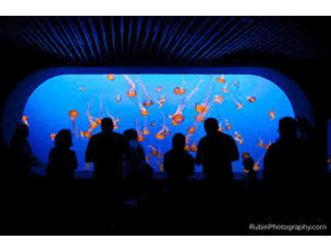 Monterey Bay Aquarium:Admission for two (2)