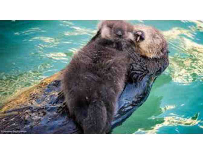 Monterey Bay Aquarium:Admission for two (2)
