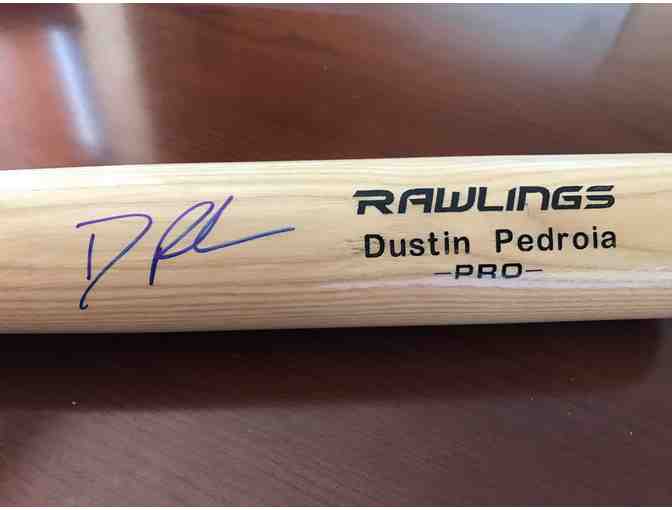 Dustin Pedroia Autographed Bat + $50 Gift Certificate for RAM Collectibles