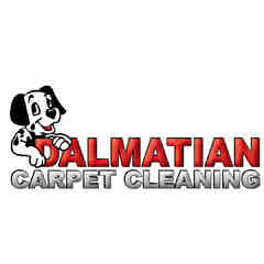 Dalmatian Carpet Cleaning