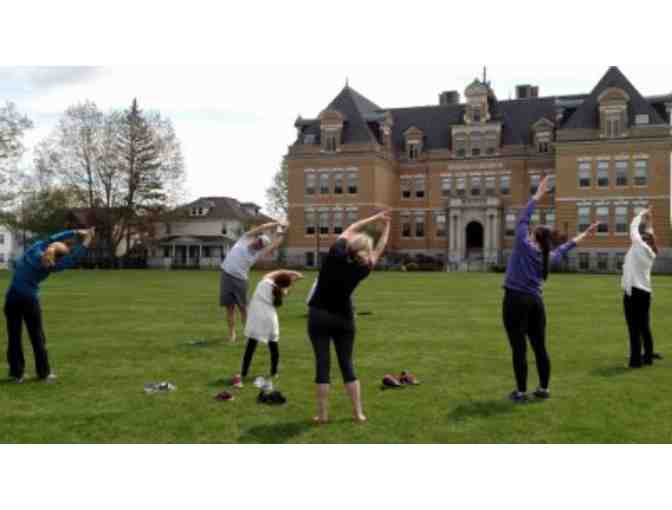 One Hour Private Individual or Group Yoga Class