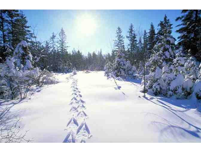 Family Four Pack Single Day Passes to Mass Audubon's Pleasant Valley Wildlife Sanctuary