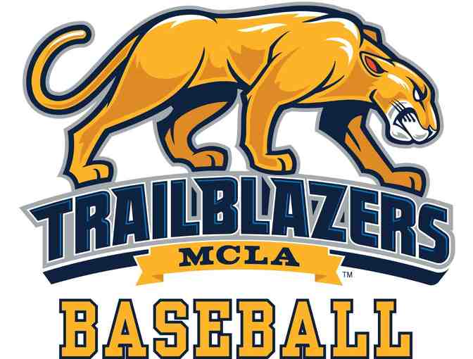 Season Pass for Baseball Open Hit Sessions at MCLA