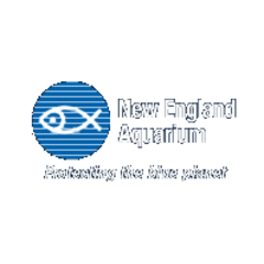 The New England Aquarium