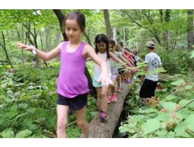 Experience Camp Nabby - for NEW families
