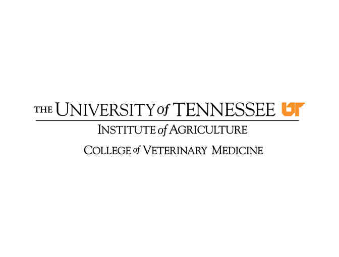 University of Tennessee vet for a day experience