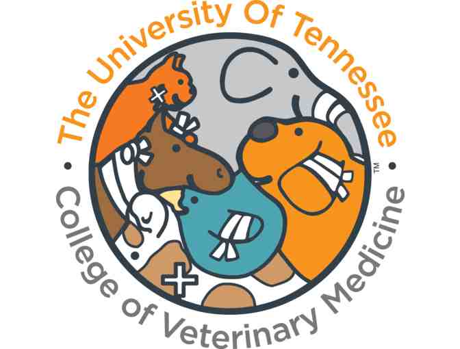 University of Tennessee College of Veterinary Medicine vet for a day experience
