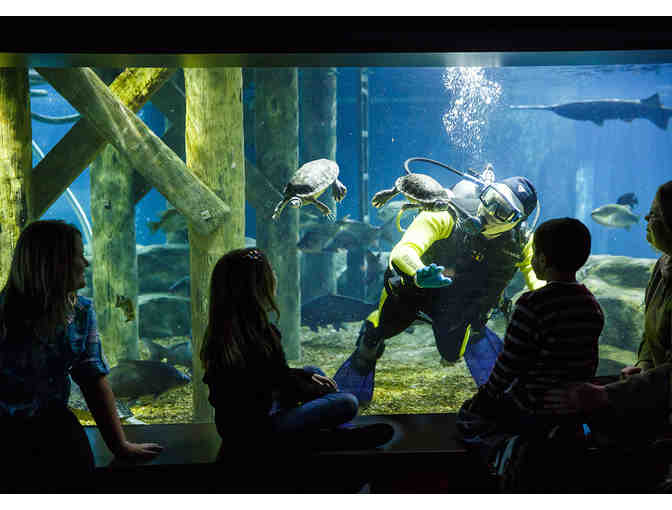 Tennessee Aquarium four passes & four behind the scenes tour passes
