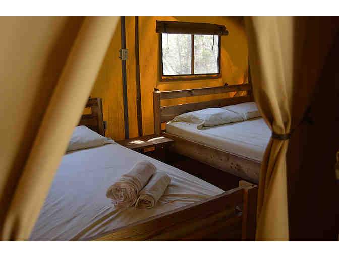 Camp LeConte one-night stay in Safari Tent