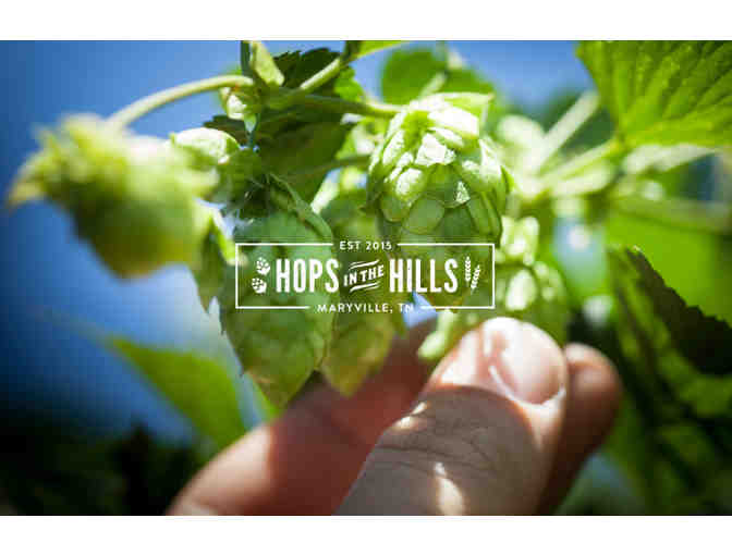 Hops in the Hills four 2017 tickets