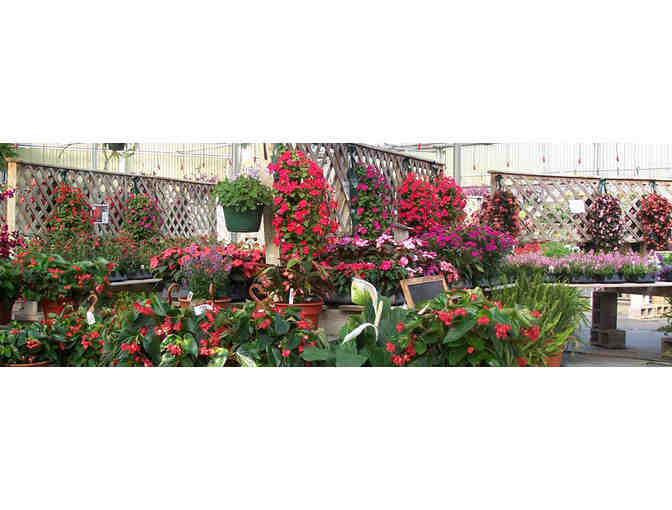 Meadow View Greenhouse and Garden Center | Gift Certificate