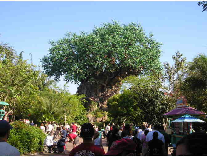 Walt Disney World | 4 One-Day Park Hopper passes