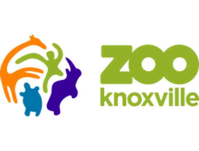 Zoo Knoxville | Behind the Scenes Giraffe Experience