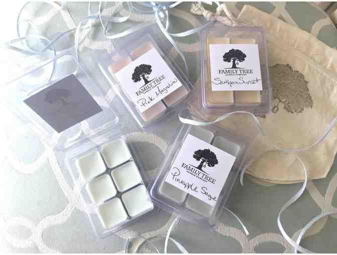 Family Tree Candle Co. | Wall Warmers with Melts