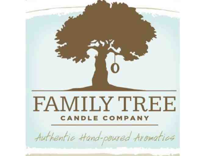 Family Tree Candle Co. | Assorted Tumbler Candles